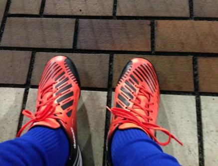 MY SHOE - PREDATOR ABSOLADO TRX LZ TF